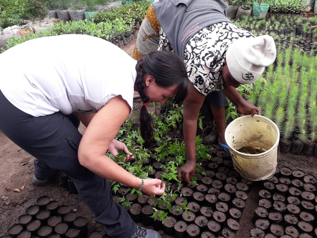 Step by step Kenya volunteering guide