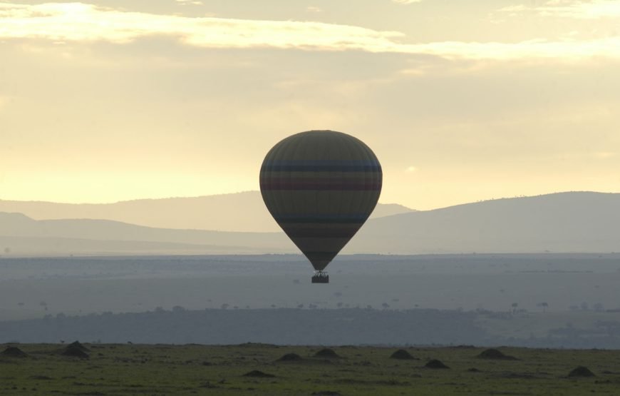 3 Days/2 Nights Mara Serena Flying SAFARI Package