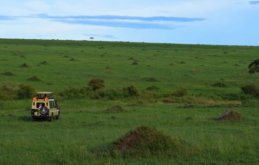 3 Days/2 Nights Mara Serena Flying SAFARI Package