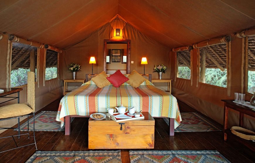 3 DAYS /2 NIGHTS TORTILIS CAMP FLYING SAFARI