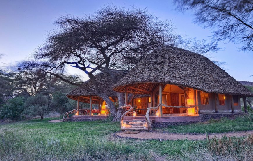 3 DAYS /2 NIGHTS TORTILIS CAMP FLYING SAFARI