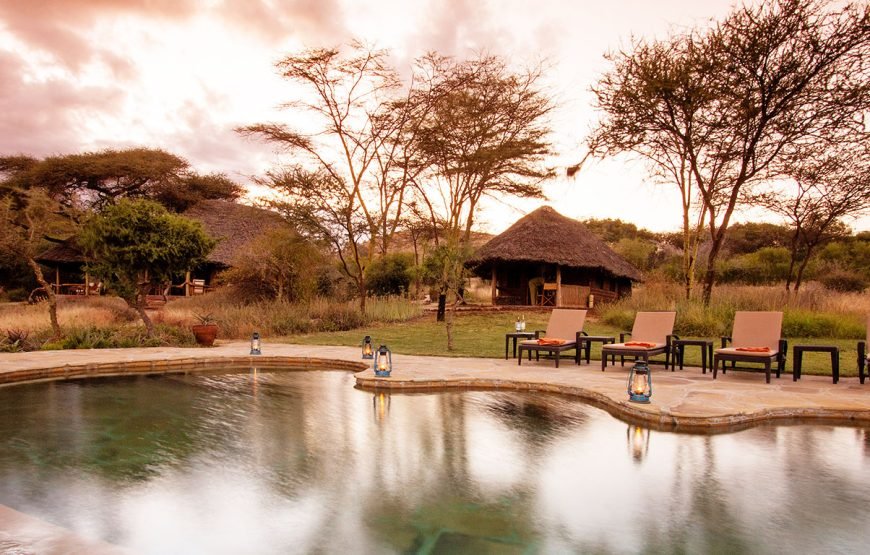 3 DAYS /2 NIGHTS TORTILIS CAMP FLYING SAFARI