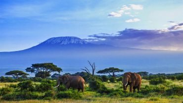 Amboseli Flying Safari Package