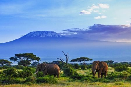 Amboseli Flying Safari Package