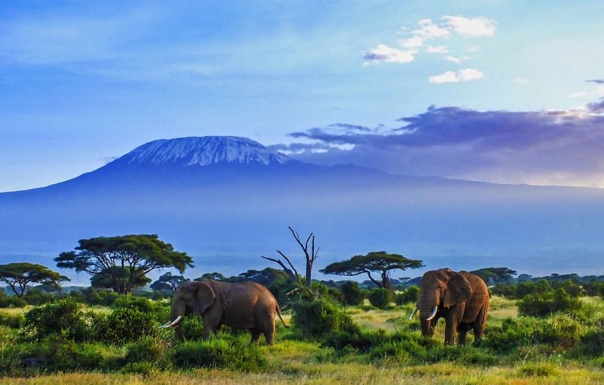 3 DAYS/ 2 NIGHTS AMBOSELI SOPA FLYING SAFARI
