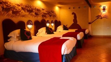 Discover the Ultimate Adventure with our Samburu Flying Safari Package