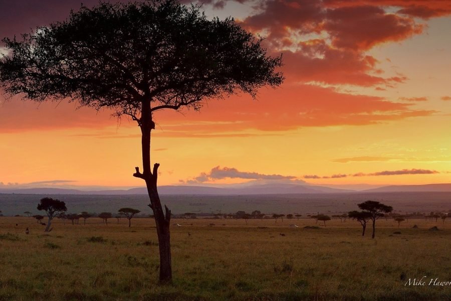 3 DAYS/2 NIGHTS ASHNIL MARA FLYING SAFARI PACKAGE