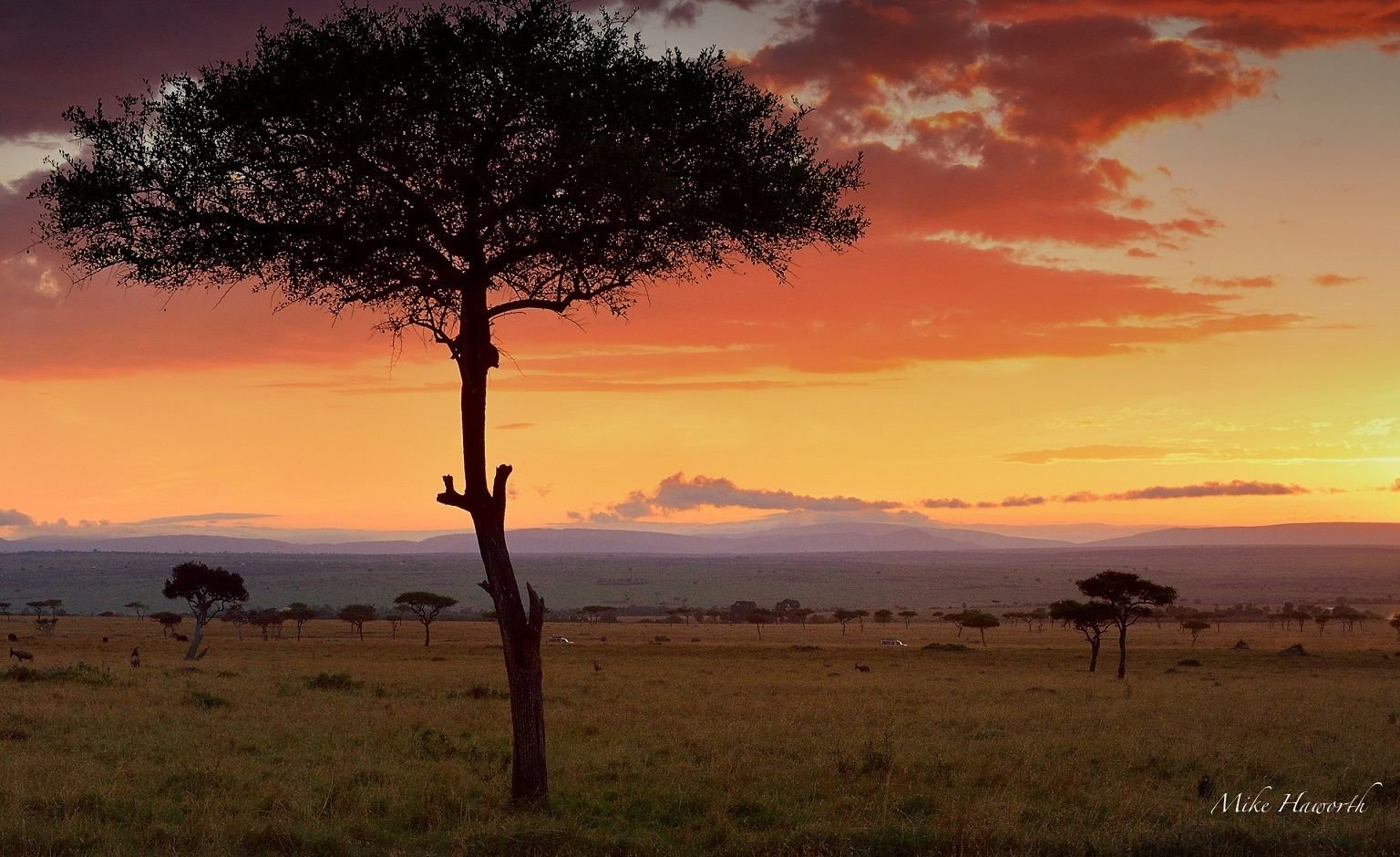 3 DAYS/2 NIGHTS MARA SOPA FLYING SAFARI PACKAGE