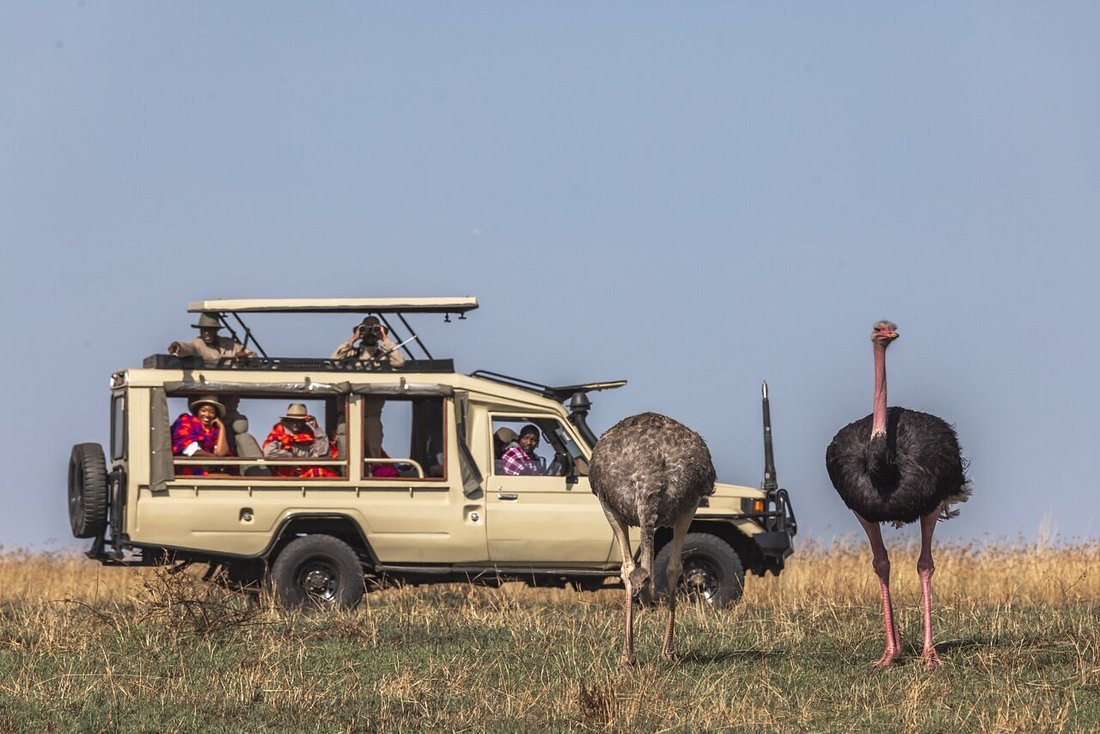 DAY 3: END OF THE SAFRI