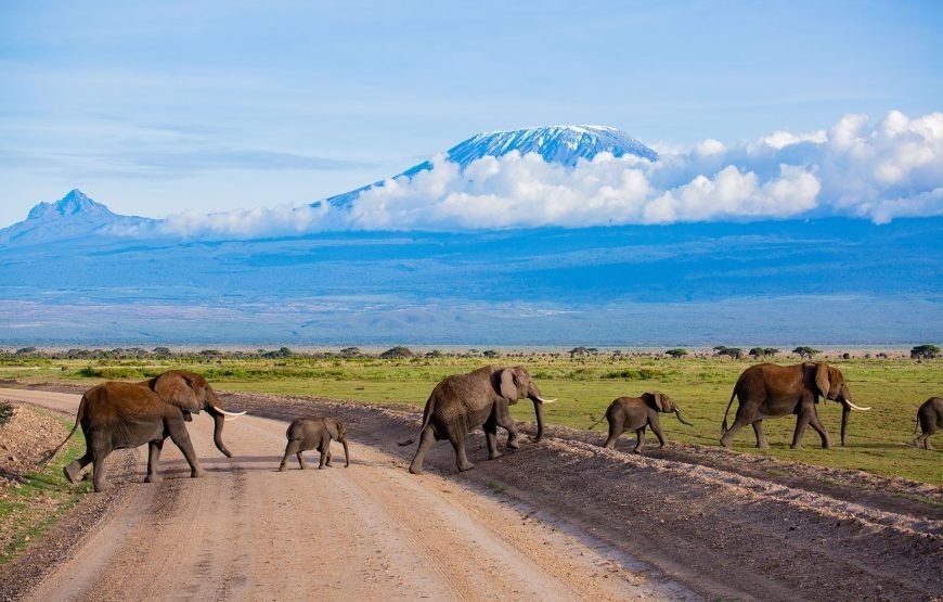 3 DAYS/2 NIGHTS AMBO SERENA FLYING SAFARI