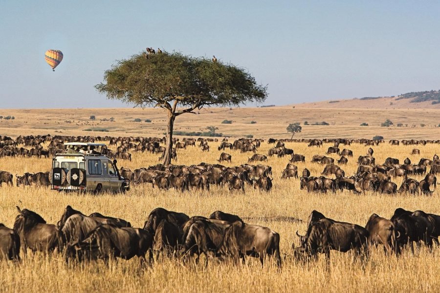 3 DAYS/2 NIGHTS MARA SOPA FLYING SAFARI PACKAGE