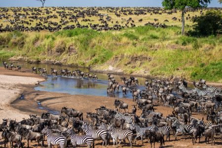 Maasai Mara Flying Safari Package