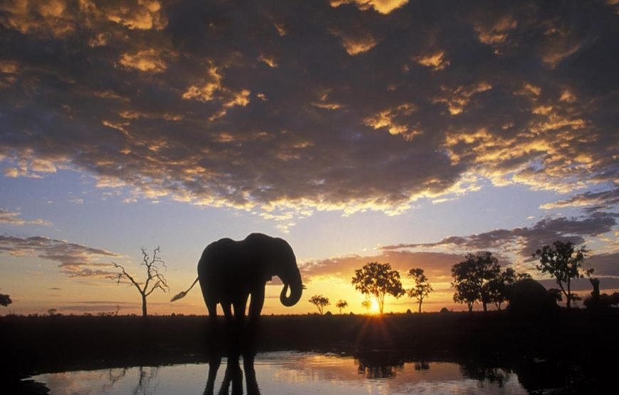 3 DAYS/2 NIGHTS OL TUKAI FLYING SAFARI PACKAGE