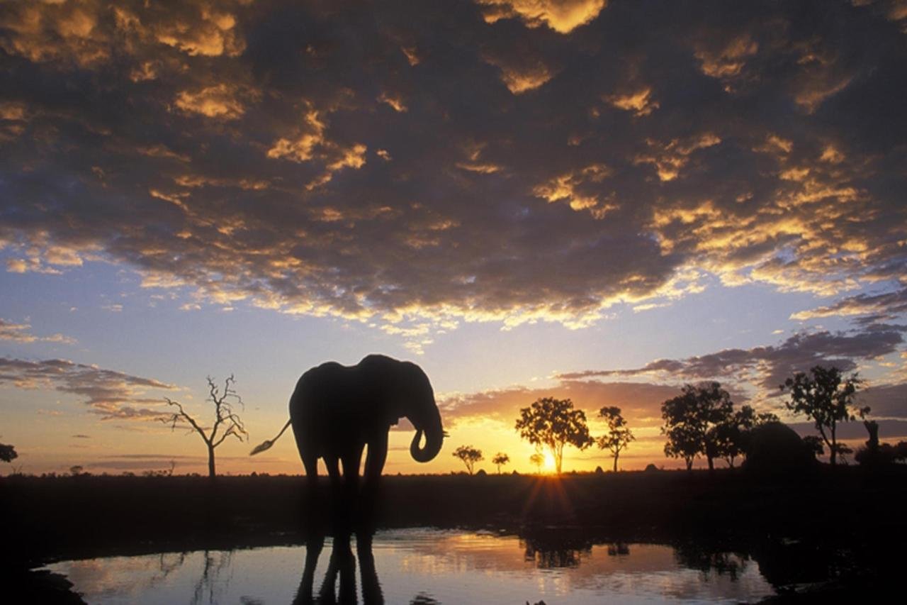 DAY 1: Depart to Amboseli Airstrip