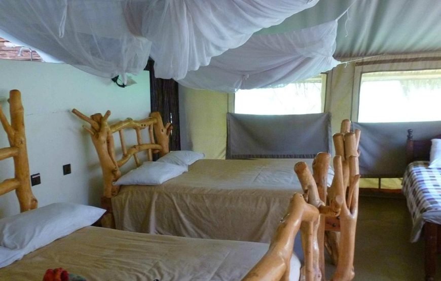 3 DAYS /2 NIGHTS MARA SENTRIM FKYING SAFARI PACKAGE