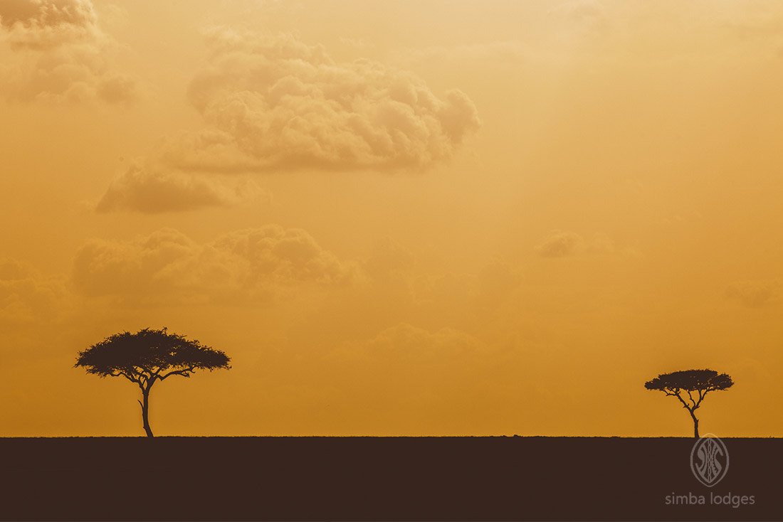 DAY 1 ARRIVAL TO MARA