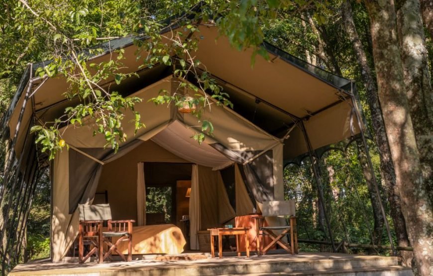 3 DAYS / 2 NIGHTS GOVERNORS CAMP MARA SAFARI FLYING PACKAGE