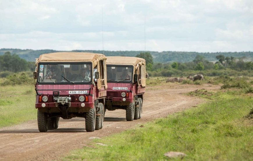 3DAYS / 2NIGHTS ENGAI MARA SAFARI FLYING PACKAGE