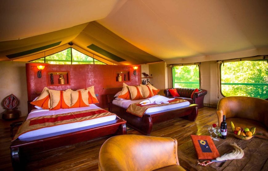 3DAYS / 2NIGHTS ENGAI MARA SAFARI FLYING PACKAGE