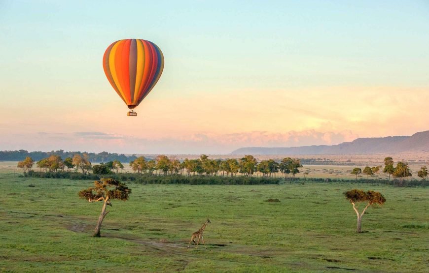3DAYS / 2NIGHTS ENGAI MARA SAFARI FLYING PACKAGE