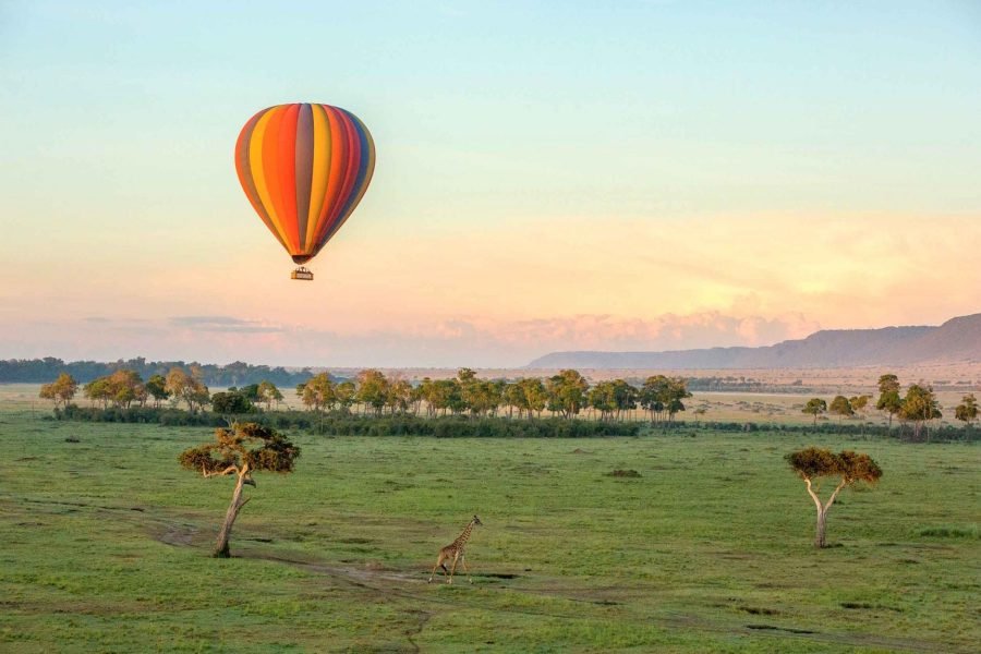 3DAYS / 2NIGHTS ENGAI MARA SAFARI FLYING PACKAGE