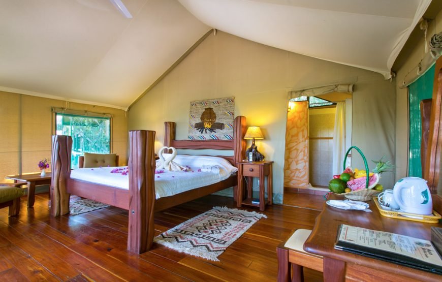 3DAYS /2 NIGHTS MARA SIMBA FLYING SAFARI PACKAGE