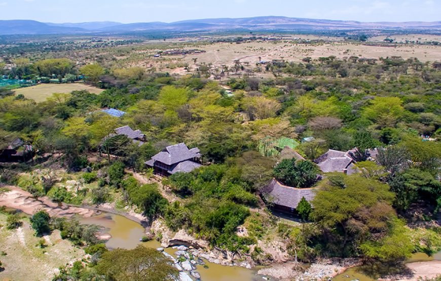 3DAYS /2 NIGHTS MARA SIMBA FLYING SAFARI PACKAGE