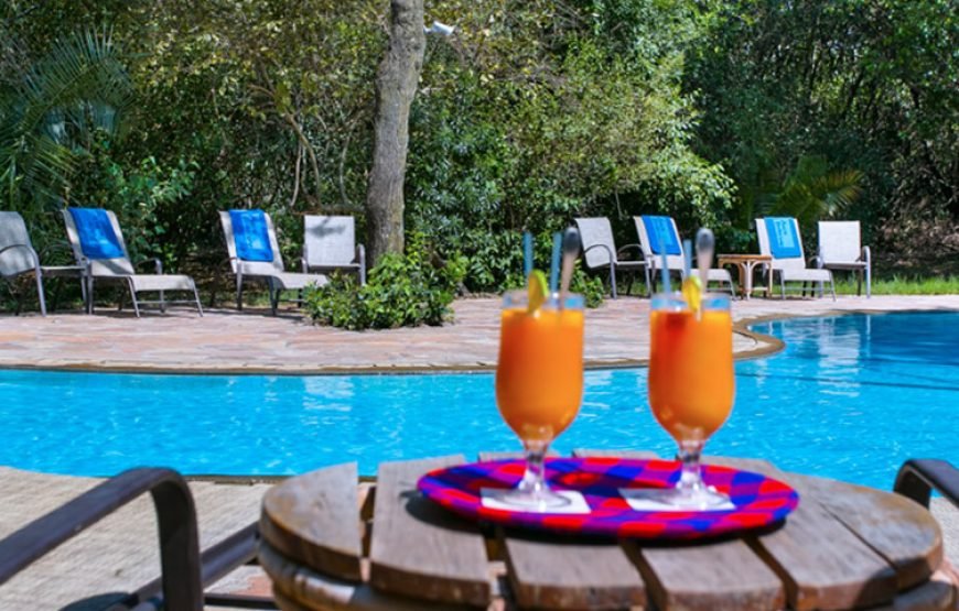 3DAYS /2 NIGHTS MARA SIMBA FLYING SAFARI PACKAGE