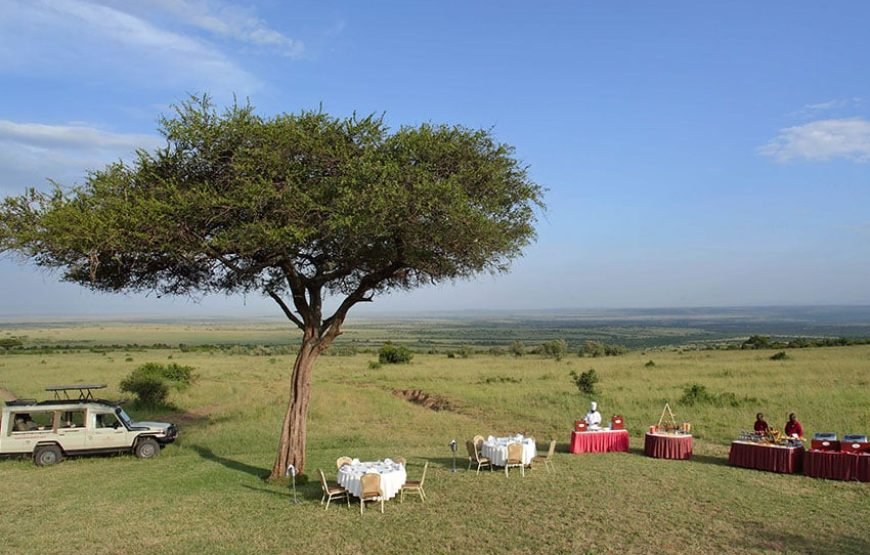 3DAYS/2 NIGHTS MARA SAROVA FLYING SAFARI PACKAGE