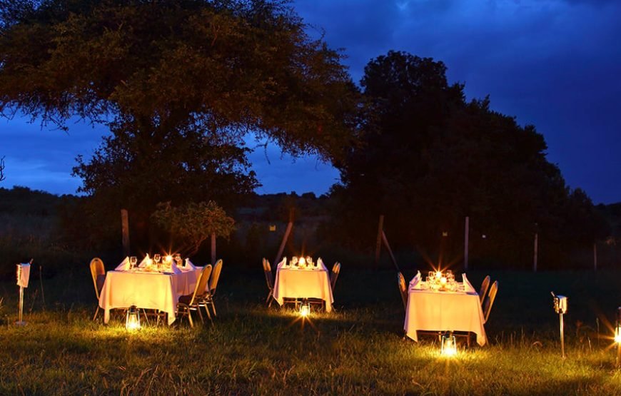 3DAYS/2 NIGHTS MARA SAROVA FLYING SAFARI PACKAGE