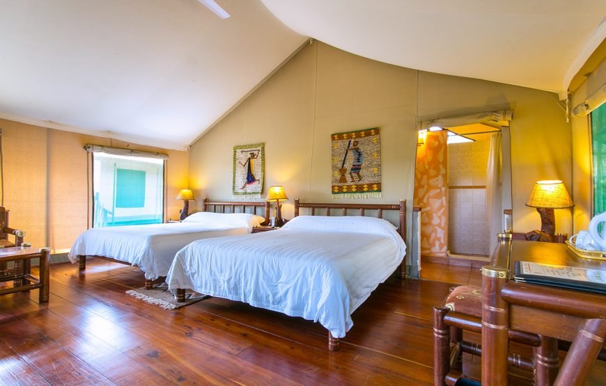 3DAYS /2 NIGHTS MARA SIMBA FLYING SAFARI PACKAGE