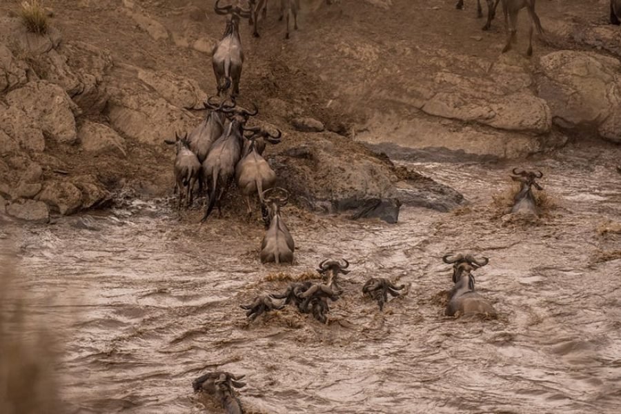 3DAYS/2 NIGHTS MARA SAROVA FLYING SAFARI PACKAGE