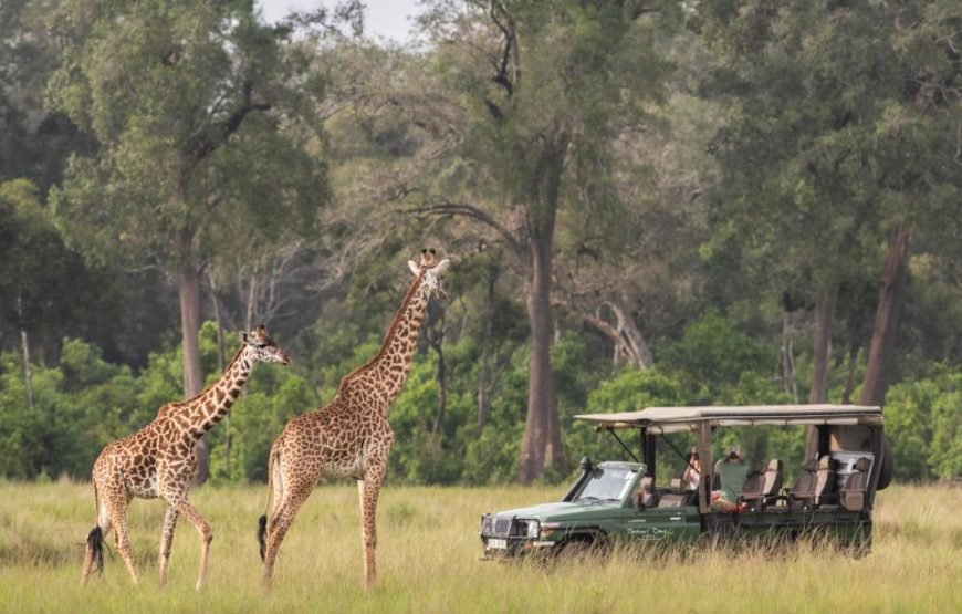 3 DAYS / 2 NIGHTS GOVERNORS CAMP MARA SAFARI FLYING PACKAGE