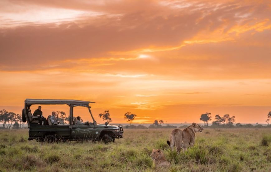 3 DAYS / 2 NIGHTS GOVERNORS CAMP MARA SAFARI FLYING PACKAGE