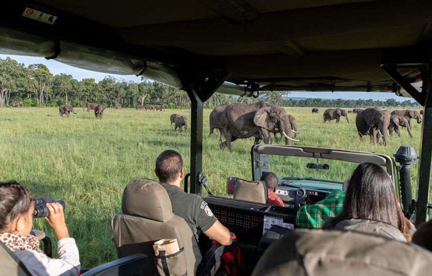 3 DAYS / 2 NIGHTS GOVERNORS CAMP MARA SAFARI FLYING PACKAGE