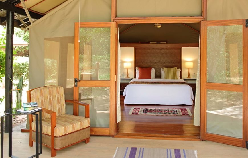 3DAYS/2 NIGHTS MARA SAROVA FLYING SAFARI PACKAGE