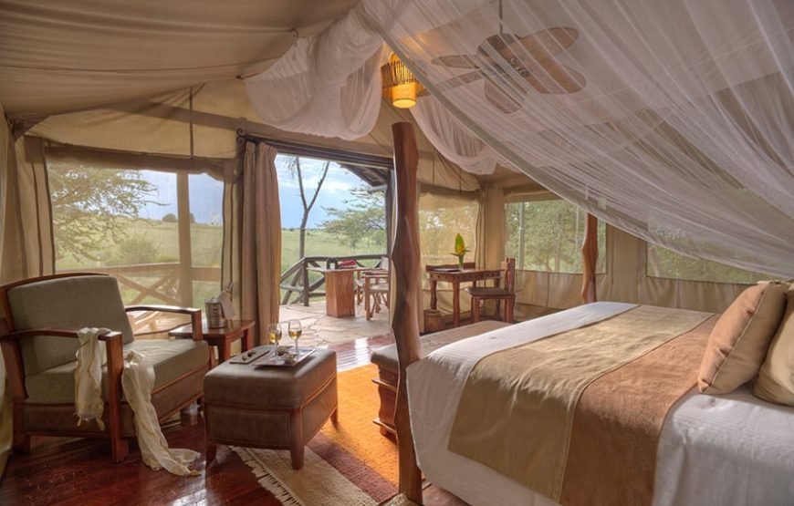 3DAYS/2 NIGHTS MARA SAROVA FLYING SAFARI PACKAGE