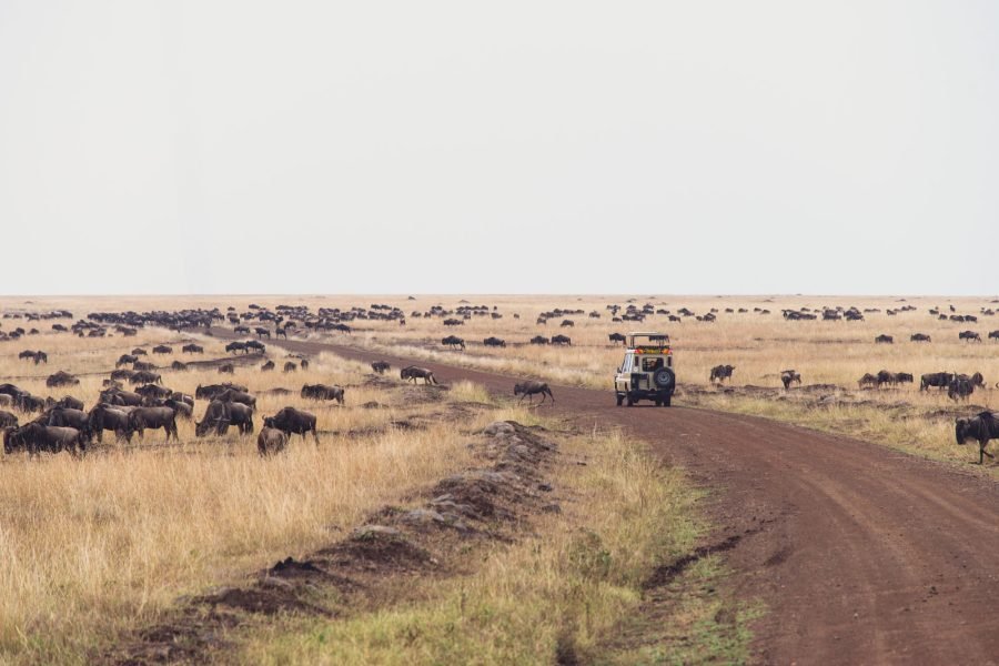 3 DAYS /2 NIGHTS KICHECHE BUSH MARA FLYING SAFARI PACKAGE